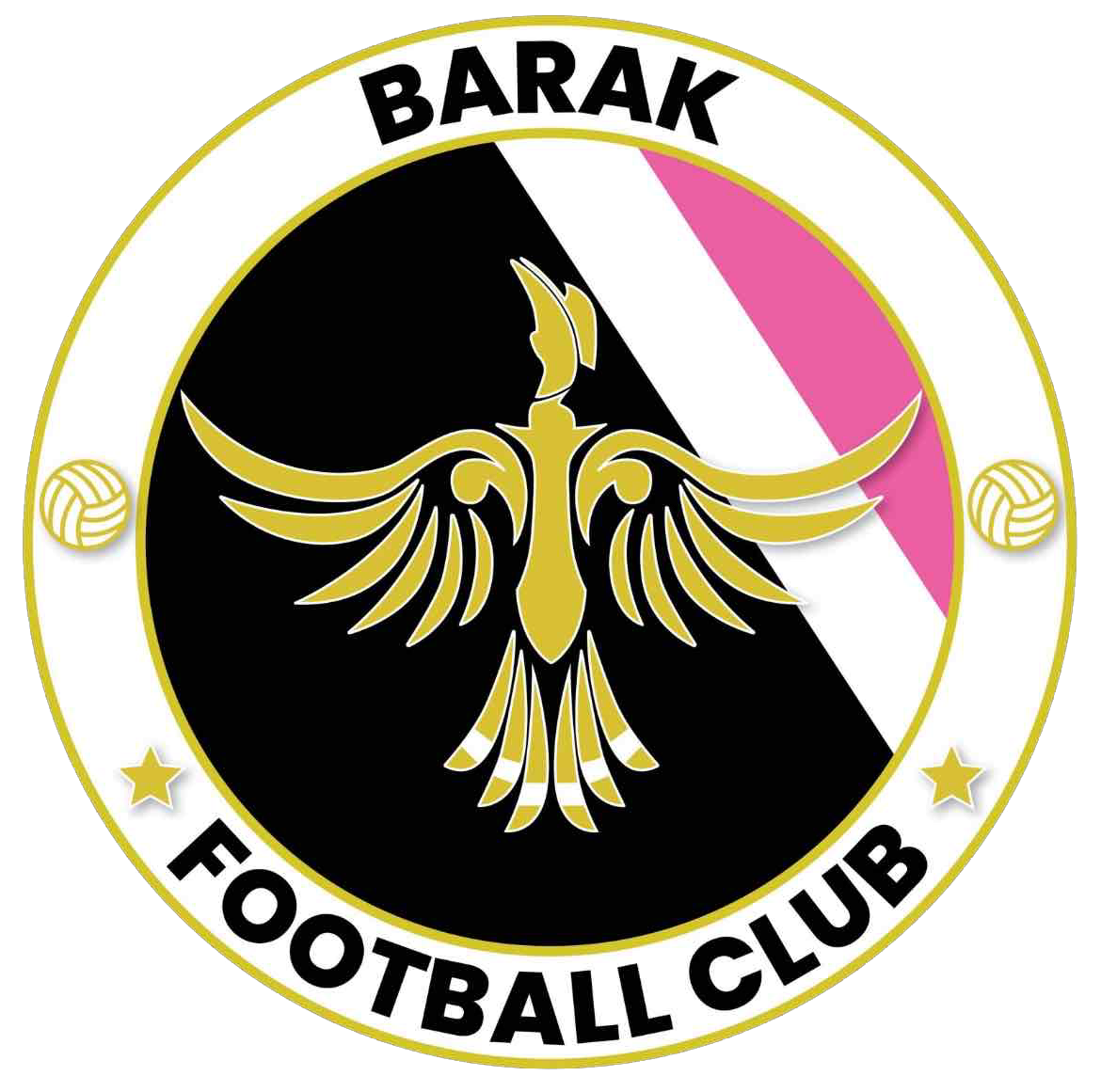 Team Logo